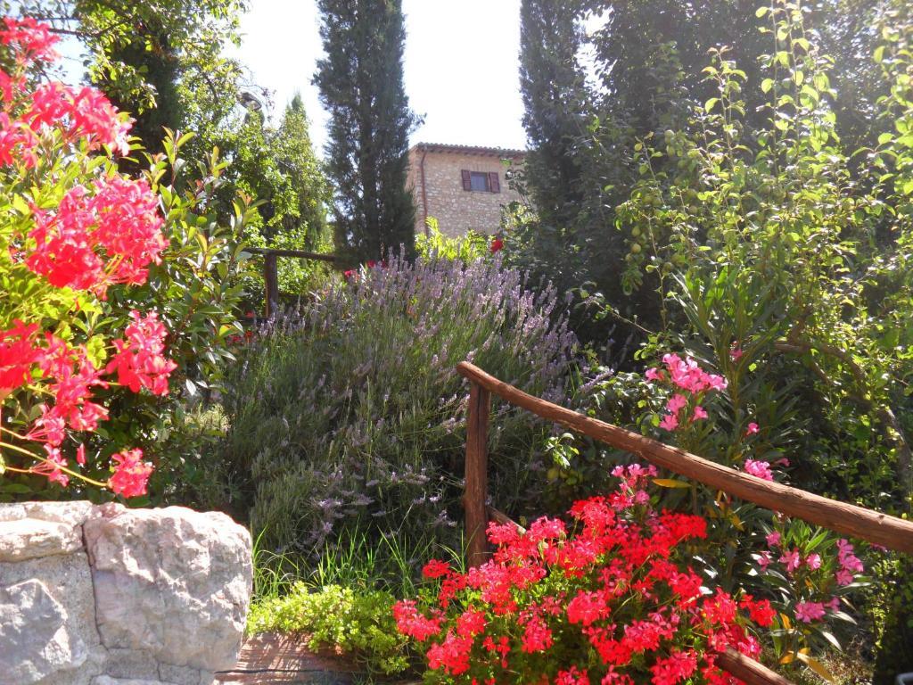 Agriturismo Roccagelli Vallo di Nera Bagian luar foto