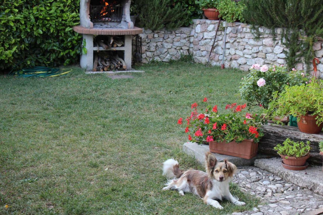Agriturismo Roccagelli Vallo di Nera Bagian luar foto