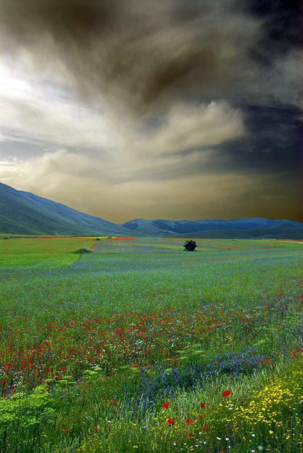 Agriturismo Roccagelli Vallo di Nera Bagian luar foto